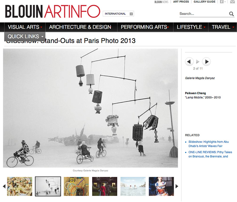 Standouts of Paris Photo 2013